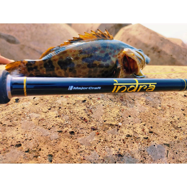 Major craft Indra spinning Rod 9 FT