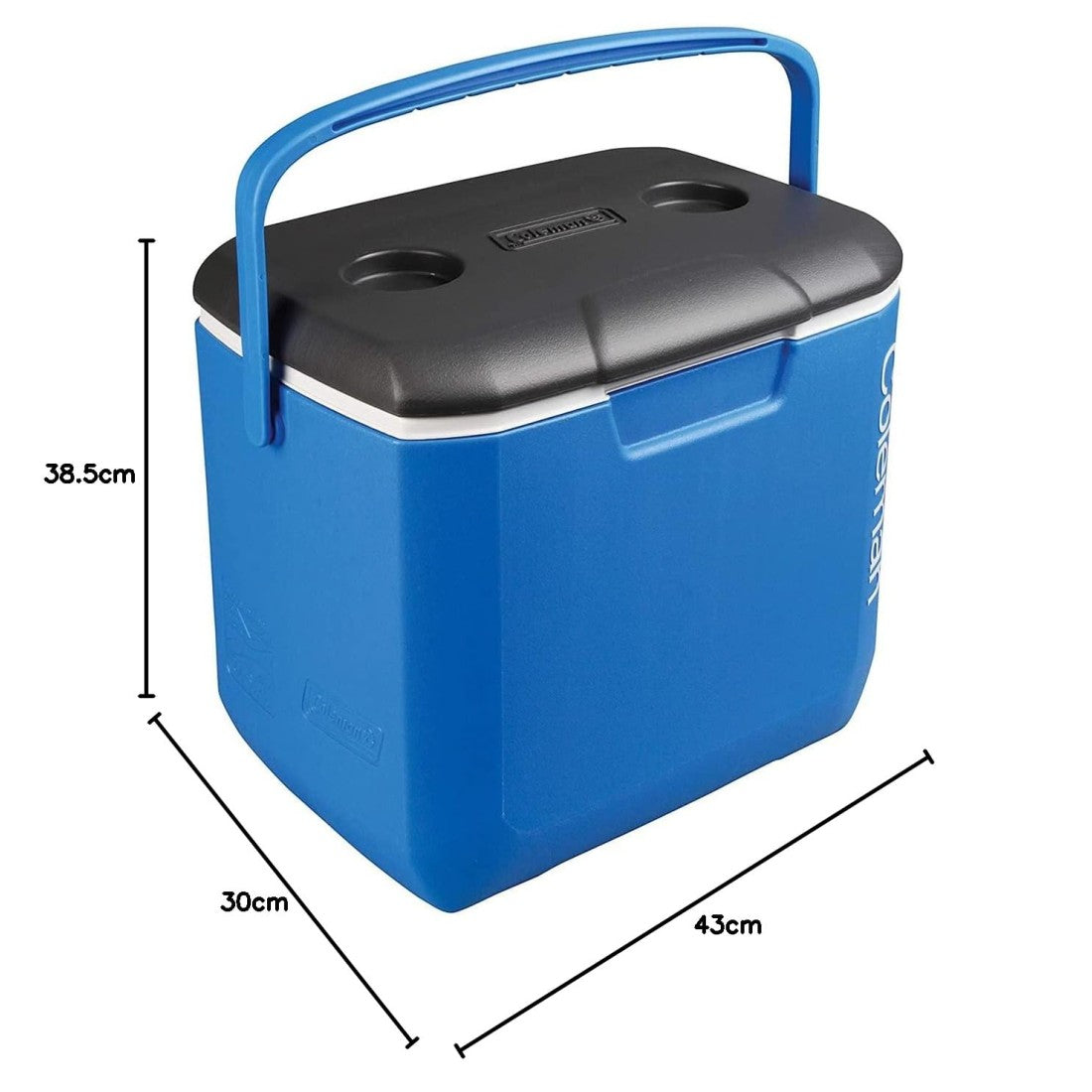 COLEMAN 30QT Excursion Ice Box, 28L, Large Cooler Box with Strong Handle, Holds 38 cans and 2L Bottles Upright.